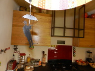 View  CASTANEA CUISINE 