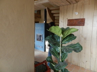 View MUR BOIS MAISON RENOVÃE POELE DE MASSE MUR ARGILE