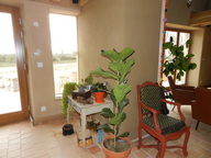 View RENOVATION MENUISERIE BOIS DOUBLE ET TRIPLE VITRAGE