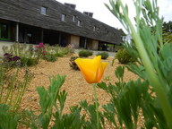 View CASTANEA MAISON /CO PROPRIETE 3 LOGEMENTS